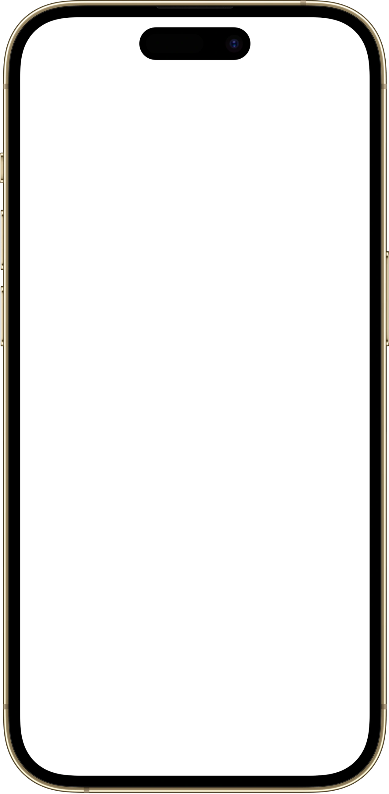 iPhone frame